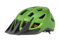Giant Path ARX Mips MTB Helmet - 49- 57cm - Matte Black -Ride Shield Shop 6 445